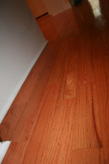 This is before