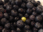 blueberries