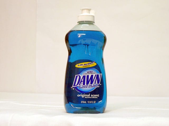 dawn.jpg