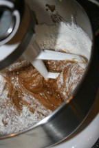 chocolatechip7.jpg