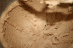 gingersnaps4.jpg