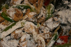 chixshroom4.jpg