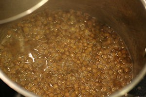 boiling lentils boiling lentils