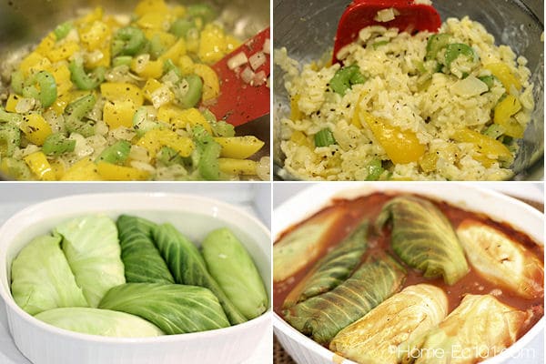 Vegetable Stuffed Cabbage Rolls 1 Vegetable Stuffed Cabbage Rolls