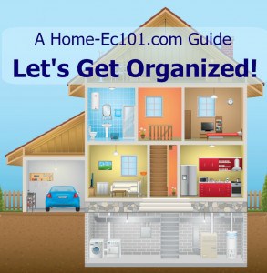 organization challenges