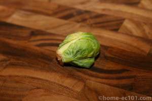 raw sprout