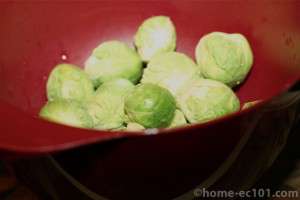 washed sprouts