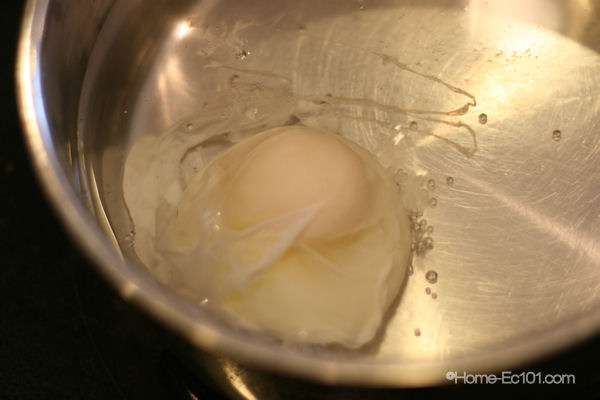 How to Poach an Egg