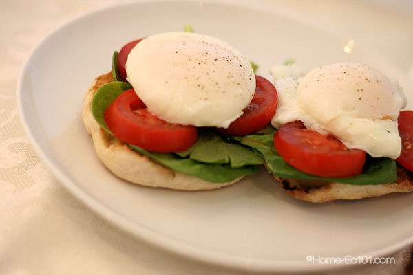 Poached Eggs
