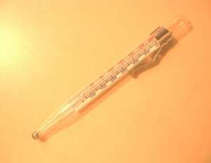 This is my thermometer. There are many others like it, but this one is mine.