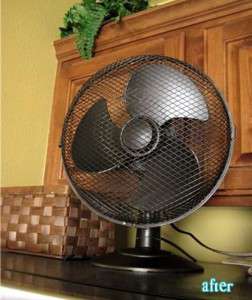 Painted fan