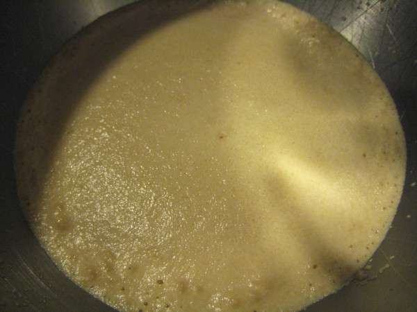 Step 1: proofed yeast
