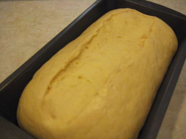 Step 8 - dough post-rise