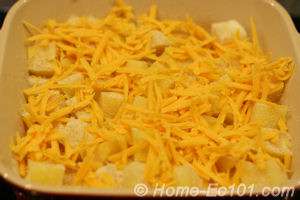 Top-with-cheese.jpg